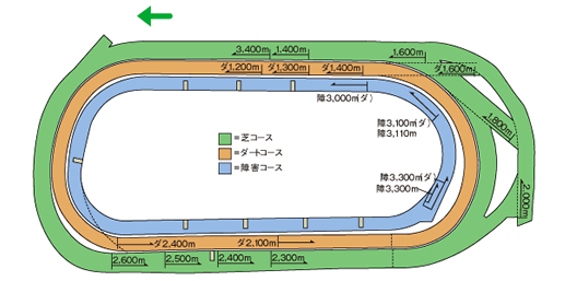 東京競馬場